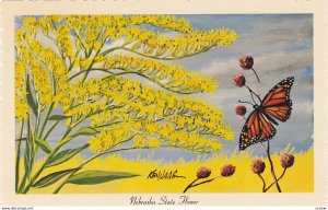 Nebraska State Flower & Monarch Butterfly , 40-50s