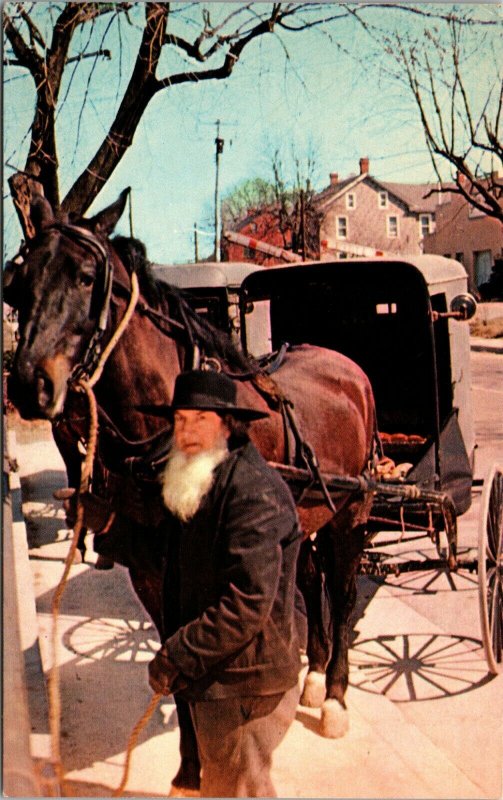 AMISH BISHOP HITCHES HIS HORSE AND WAGON PENNSYLVANIA DUTCH COUNTRY postcard 