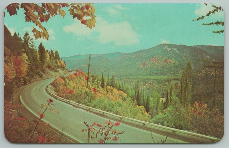 Idaho~Lookout Pass On Hwy 10 To Couer D' Alene Mining Region~Vintage Postcard