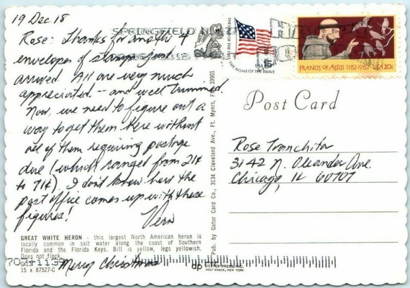 M-13249 Great White Heron