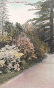 Botanical Gardens Sydney Antique Australian Postcard