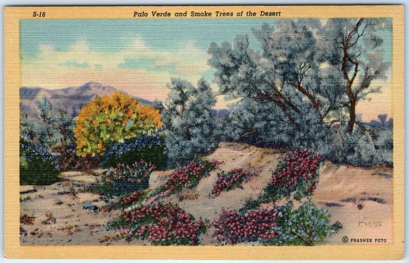 c1940s Pub Tucson AZ Desert Palo Verde & Smoke Trees Flower Cactus Linen PC A290