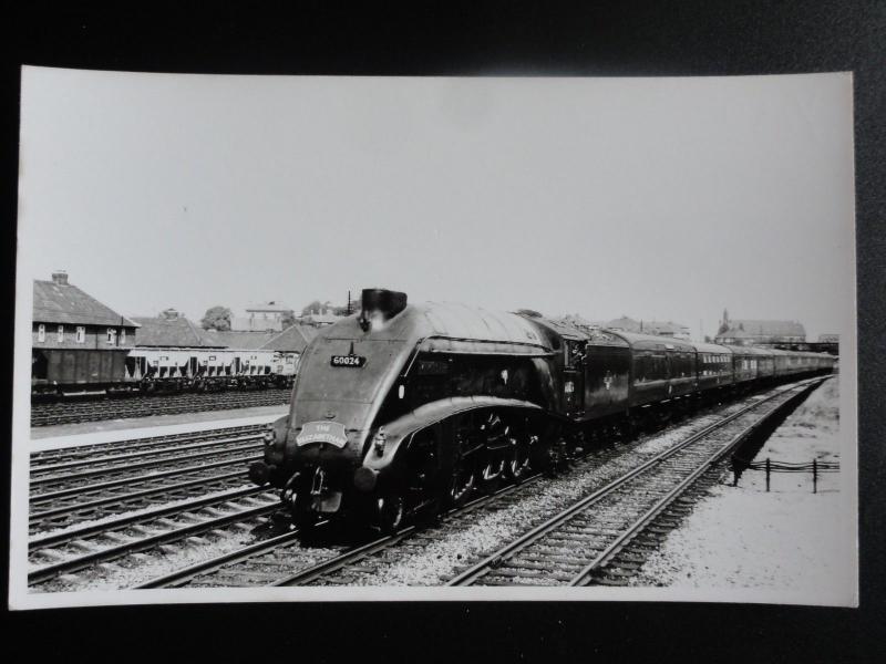 LNER No.60024 KINGFISHER Steam Locomotive (The Elizabethan) RP Photocard 110515