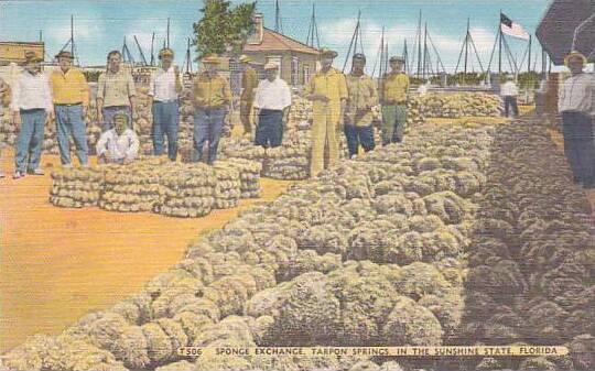 Florida Tarpon Springs Sponge Exchange In The Sunshine State