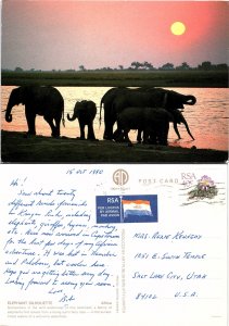 Elephant Silhouette, Africa