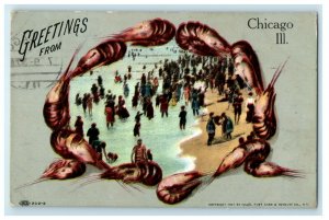 1909 Greetings From Chicago Illinois IL Posted Antique Postcard 