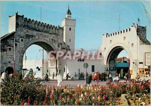 Modern Postcard Bad Tunis El Khadhra