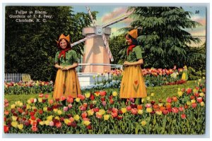 Charlotte North Carolina NC Postcard Tulips In Bloom Gardens Of J.B. Ivey c1940s