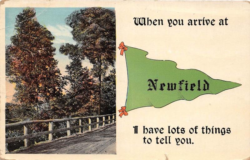 E3/ Newfield New Jersey NJ Pennant Postcard 1917 Lots To Tell You