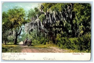 1907 Scene Park Horse Carriage Trees Titusville Florida FL Poly Chrome Postcard