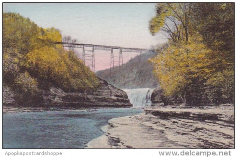 New York P O Castile Upper Falls And Portage Bridge Letchworth State Park Alb...