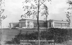 Chicago Illinois 1930s Museum National History C36 RPPC Photo Postcard 21-12924