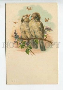 444100 KLEIN Bird Sparrow BEETLE Lilac SPRING Vintage postcard RUSSIA