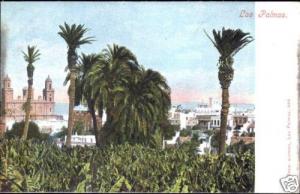 spain, LAS PALMAS, Panorama (ca. 1899)
