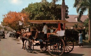 Horse Drawn Carriage,Nassau,Bahamas