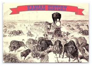 Bison Buffalo On Railroad Tracks Kansas Postcard