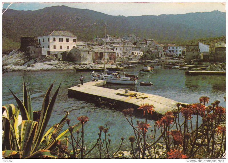 CENTURI , Haute Corse , France , PU-1982 : Le Port