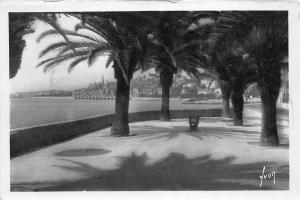 BR11280 Menton la ville vue a travers les palmiers   france