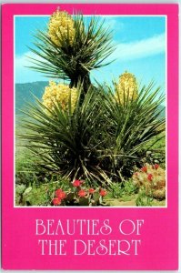 M-24768 Beauties Of The Desert