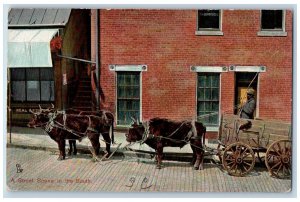 Postcard Street Scene In The South Oxen Pulling A Wagon c1905's Antique Tuck