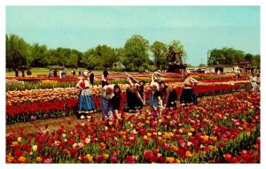 Postcard FARM SCENE Holland Michigan MI AS5669