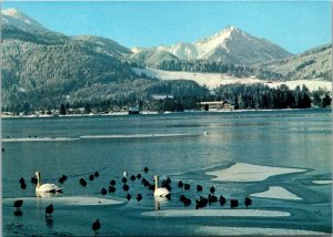 Germany Bad Wiesse Winter amd Tegernsee