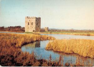 B100480 threave castle douglas kirkcudbrightshire scotland