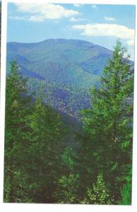 NC Mountain Views Autumn Mt. Mitchell North Carolina 3 cards