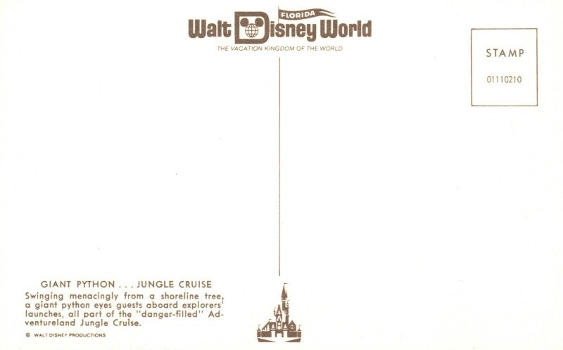 Vintage Postcard Giant Python Jungle Cruise Swinging Menacingly From A Shoreline 