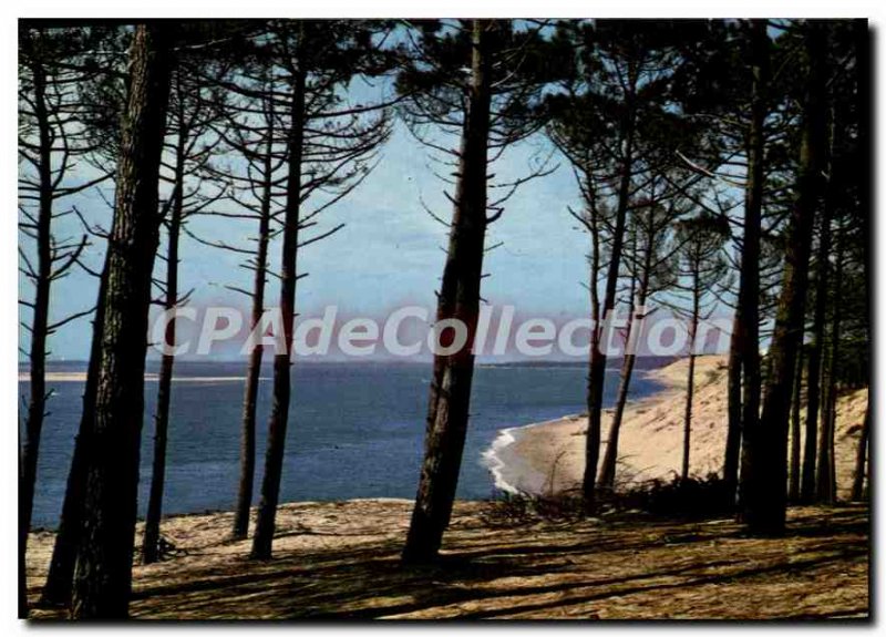 Modern Postcard The Atlantic Coast Cliche Vignes