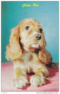 1940-1960's; Cutie Pie, Cocker Spaniel