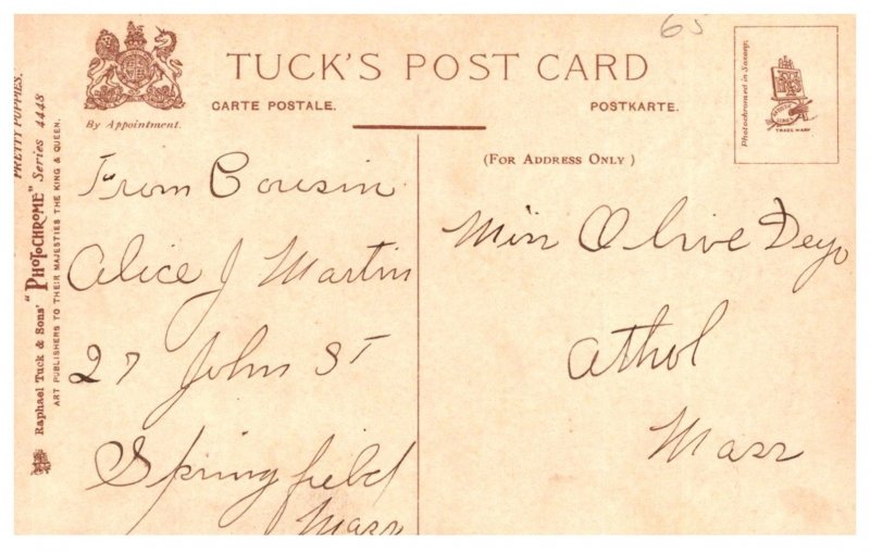 Dog , Where's Breakfast