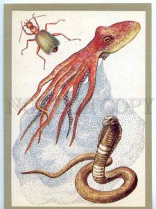 153181 Bombardier beetles octopus Black Cobra Old Russian PC