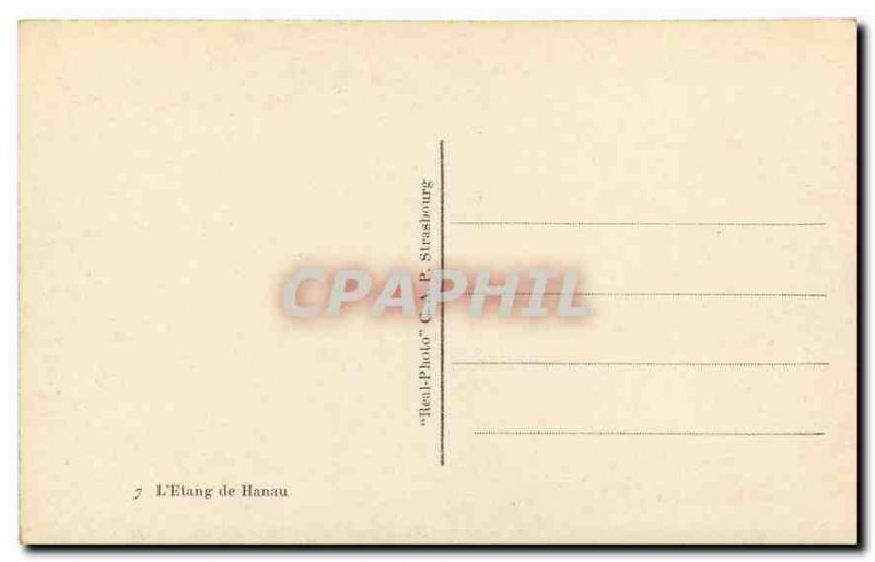 CARTE Postal Ancient Pond Hanau