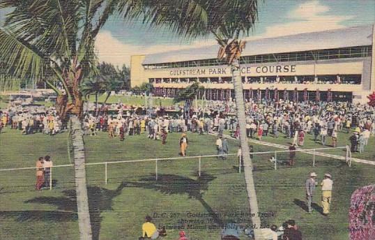 Florida Hallandale The Walking Ring Gulfstream Park Horse Racing Curteich