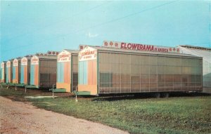 Postcard Iowa Cedar Falls Flowerama Mobile Mart Merchandizing Dexter 23-9506