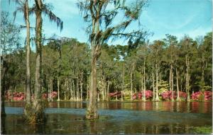 Greenfield Park    , Wilmington, North Carolina