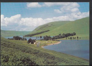 Scotland Postcard - St Mary's Loch and Loch of The Lowes, Selkirkshire  RR877