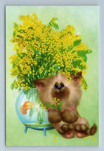 FUNNY CAT with Aquarium Gold Fish Mimosa Flowers New Unposted Postcard