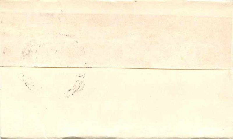 New Zealand Auckland Entier Postal Stationery