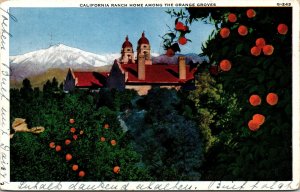 VINTAGE POSTCARD VIEW OF CALIFORNIA RANCH HOMES AMONG THE ORANGE GROVES 1927