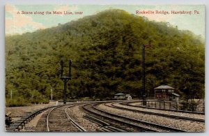 Harrisburg PA Scene Along The Main Line Near Rockville Bridge Postcard C31