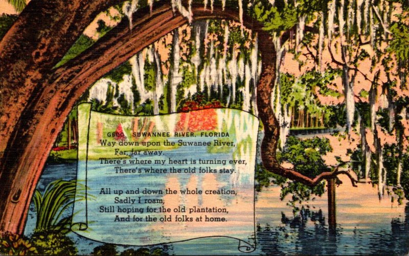 Florida Scene Along The Suwannee River 1950