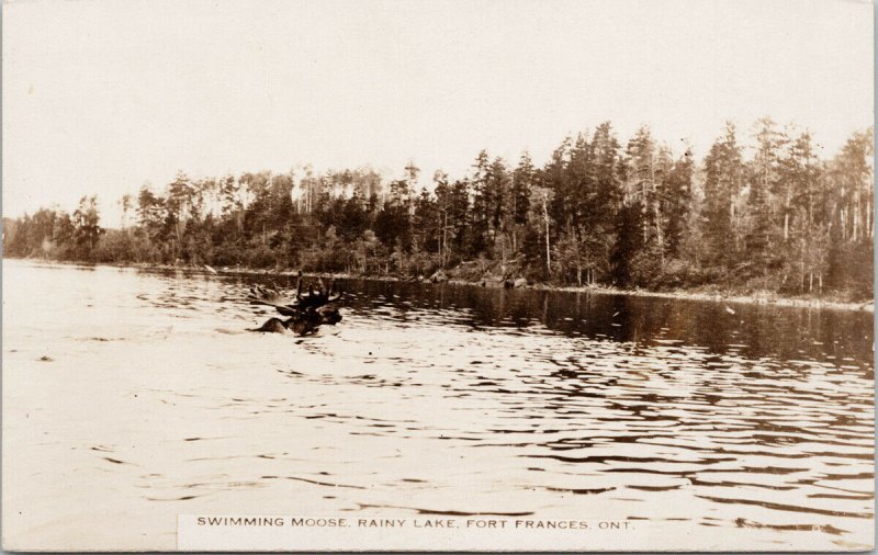 Swimming Moose Rainy Lake Ontario Fort Frances Unused RPPC Postcard F84