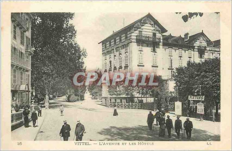 Old Postcard Vittel Avenue and hotels