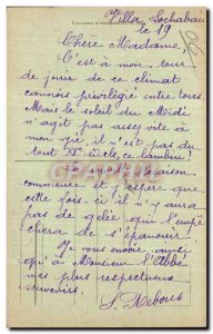 Cannes - View taken between Palms - Old Postcard