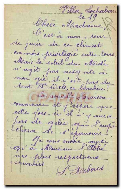 Cannes - View taken between Palms - Old Postcard