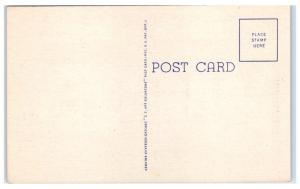 Mid-1900s Greetings from Illinois BIG LETTER Postcard