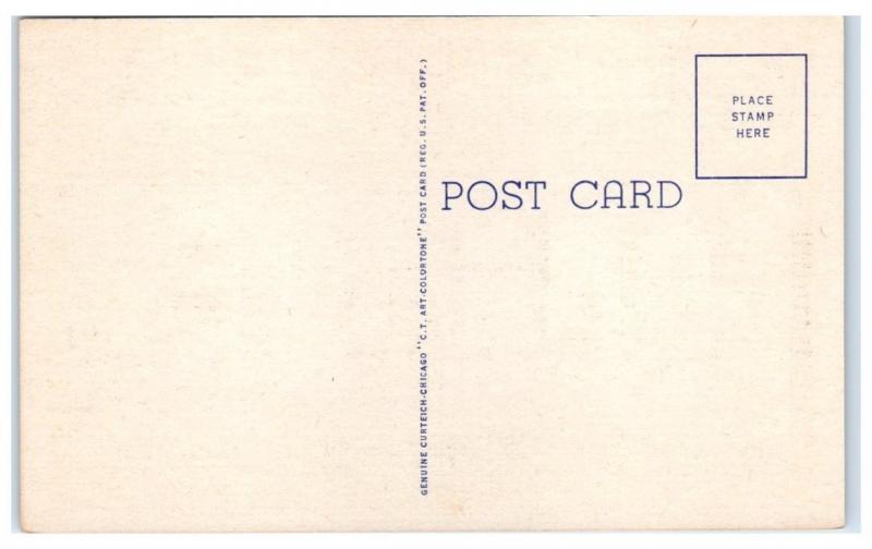 Mid-1900s Greetings from Illinois BIG LETTER Postcard