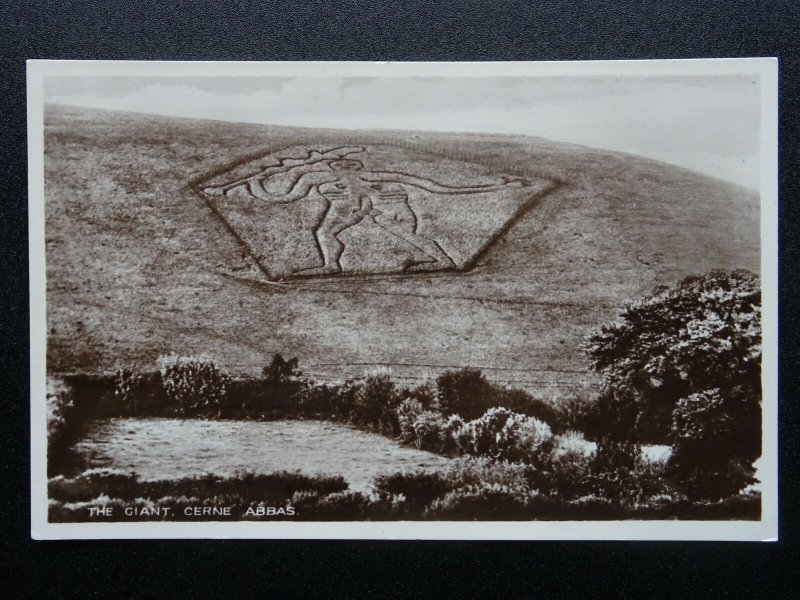 Dorset THE GIANT Cerne Abbas - Old RP Postcard by L.& M. Shutler